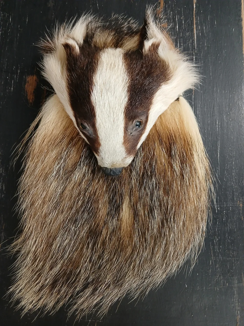 Antique Authentic Scottish Sporran